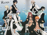 bleach anime