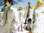bleach anime
