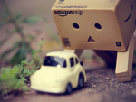 Danbo Curious