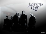 Lucuna Coil grey