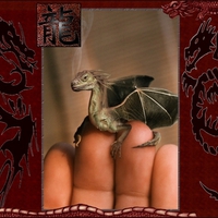 Is it Fiction or Reality?