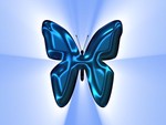 blue butterfly