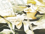 Tia Harribel, Toushiro Hitsugaya