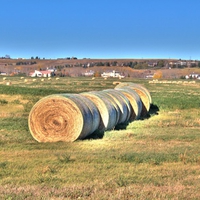 Hay Barrells