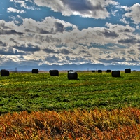 HDR Hay Field