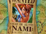 Nami "Cat Burglar" 