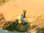 Agricultural activity in Kerala