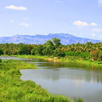 Shokanasini River Chittur - Tattamagnalam