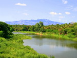 Shokanasini River Chittur - Tattamagnalam