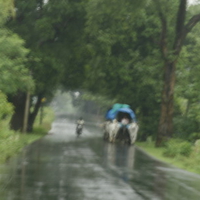 A Bullock cart @ Palakkad - Pollachi State Highway India
