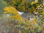 Autumn..Matlock..1