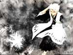 Hitsugaya squad 10