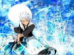 Hitsugaya :D
