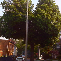 walking to the store