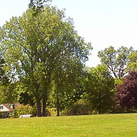walking to tennis feild