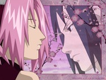 Sakura & Sasuke