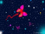 Butterflies In Space