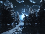 BLUE MOON FOREST