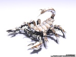 scorpion