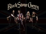 Black Stone Cherry