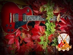 red guitar&leaves