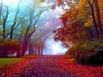 Wonderful Autum