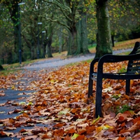 Slanted and enchanted