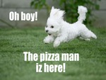 Pizza Man!
