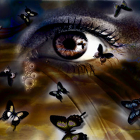 ButterflEye