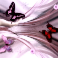 Silk Butterflies