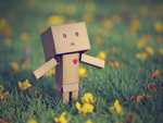 Danbo Looking For Love