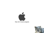 Mac OS X Snow Leopard