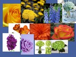 Floral Collage