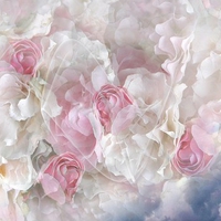 pink n white passion