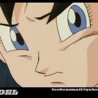 Dragonball Z Videl posted by ferdousmail@yahoo.com