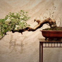 Zen Attitude