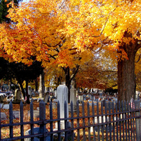 Autumn in the Cemetary