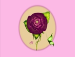 Rose and Butterfly