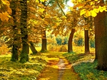 Autumn Path