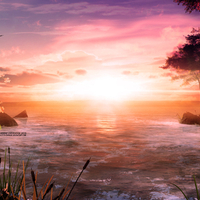 Hope Burns Bright by Catherine Liversidge