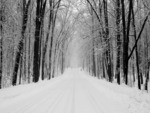 snowy_road