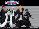 Bleach