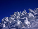 Snow Forms
