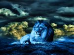 LION IN BLUE LIGHT