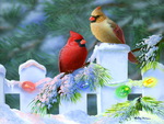 Christmas Cardinals
