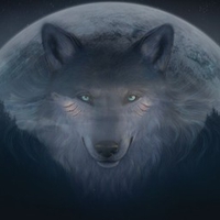 The return of the wolf