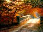 Autumn Path