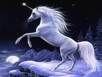 Moonlight Magic Unicorn-Sharlene Lindskog