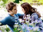 bella and edward