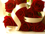 red roses